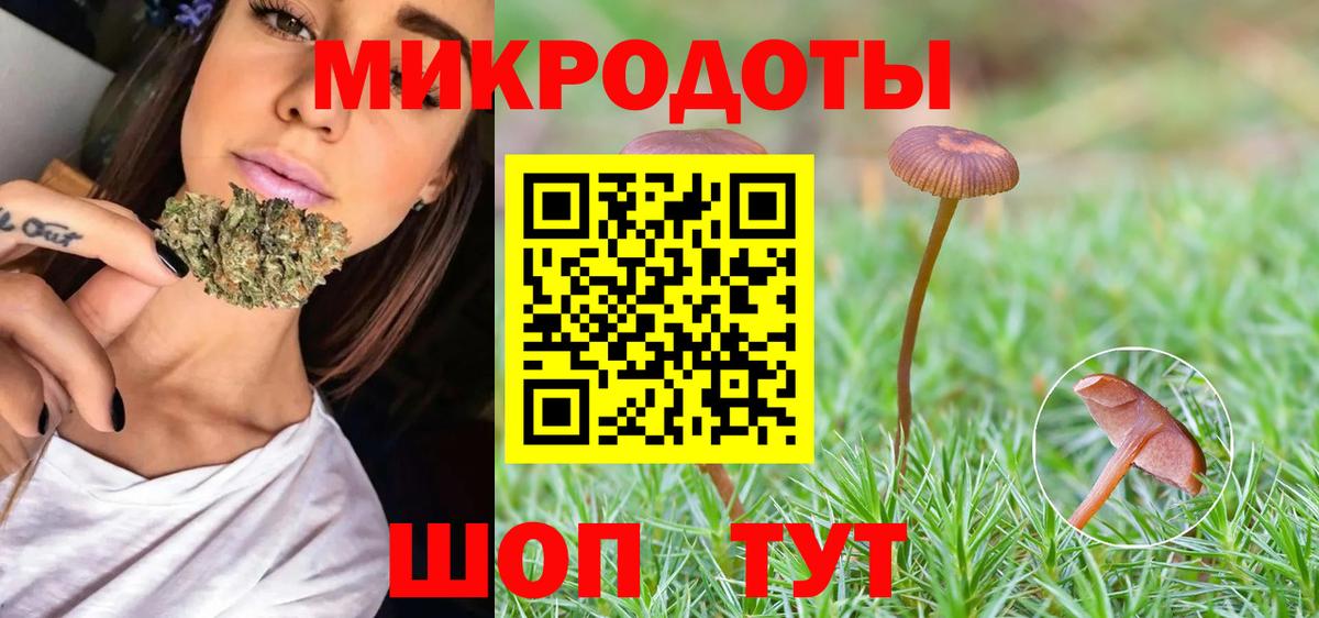 Псилоцибиновые грибы GOLDEN TEACHER  Вход с VPN  Ржев 