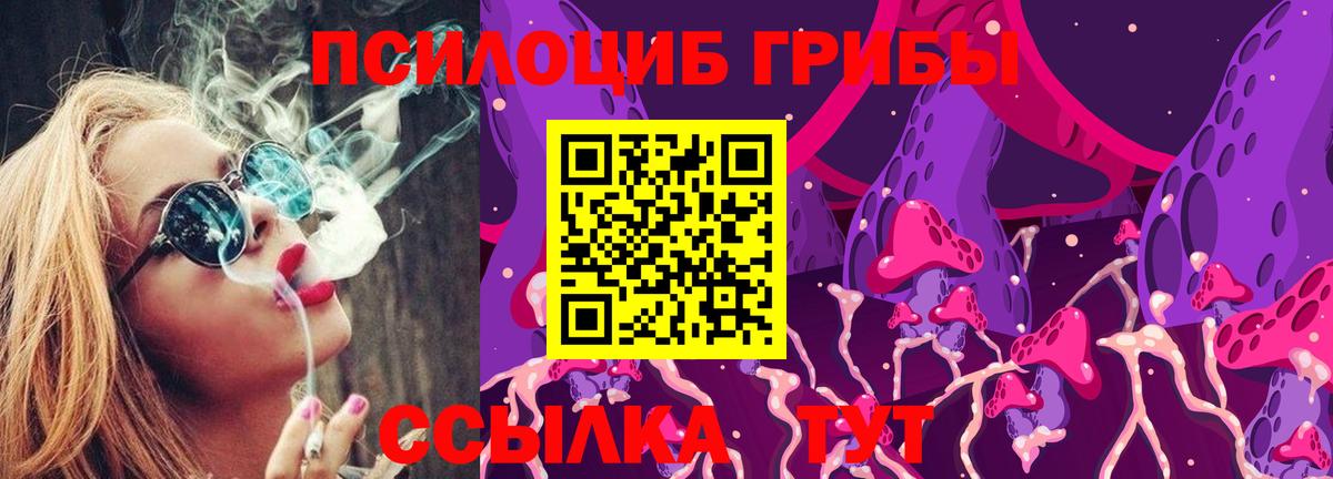 Псилоцибиновые грибы мухоморы Ржев